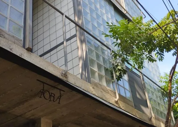 Hotel que admite mascotas: Aora San Pancho