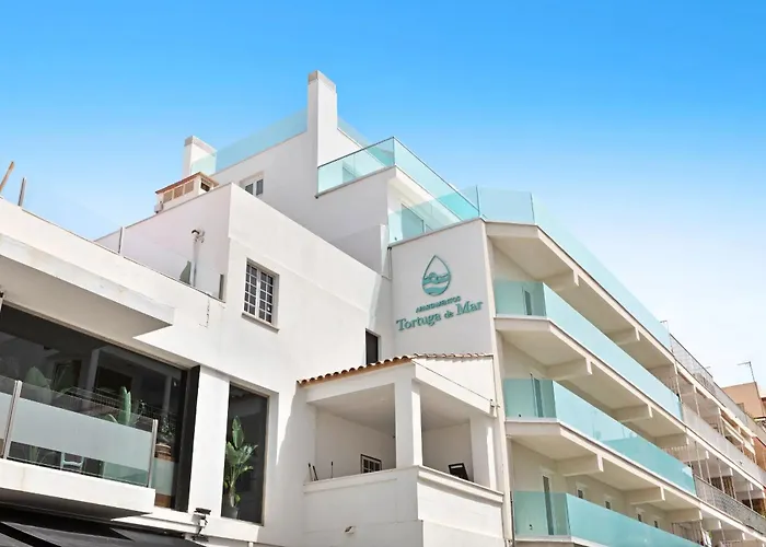 Feelathome Tortuga de Mar