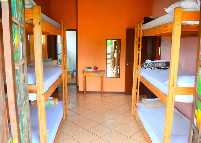 Hotel que aceita animais de estimação: Leo'S Clan Beach Hostel