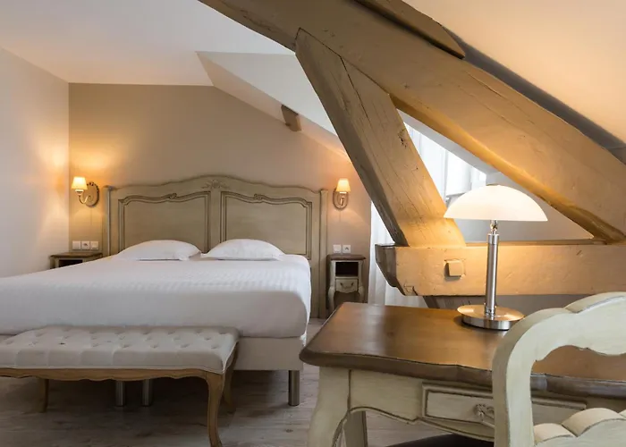 Hôtel accueillant les animaux: The Originals Boutique, Hôtel Les Poèmes de Chartres (Inter-Hotel)