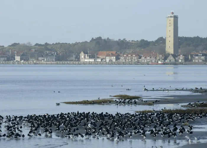 Strandhotel: Stayokay Hostel Terschelling