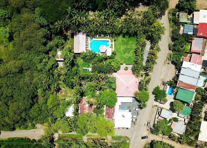 Hotel: Hotel Las Palmas