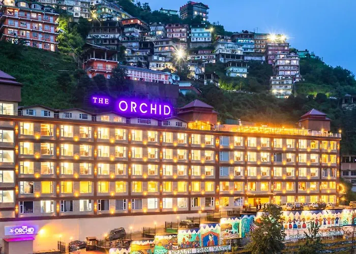 The Orchid Shimla