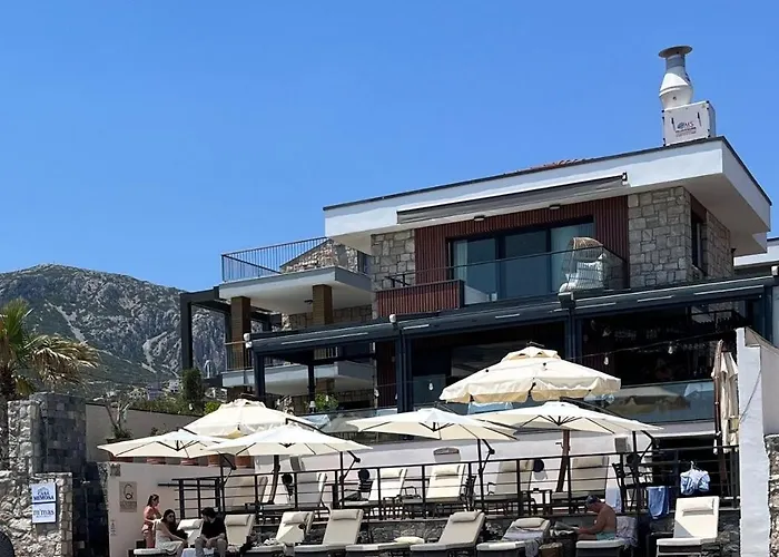 Casa Mimosa