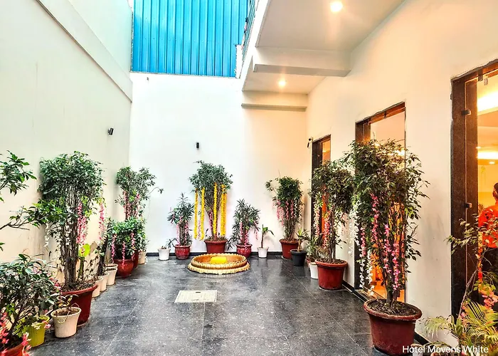 Mavens White Artemis Hospital Road Sector 52 Gurgaon