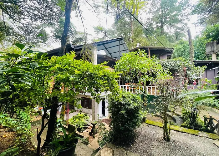 King Fern Cottage