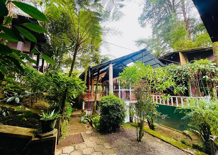 King Fern Cottage