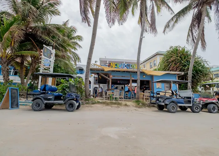 Dog friendly hotels Seven Seas Resort Adults Only