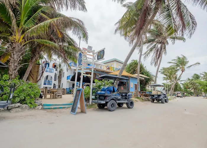 Dog friendly hotels Seven Seas Resort Adults Only
