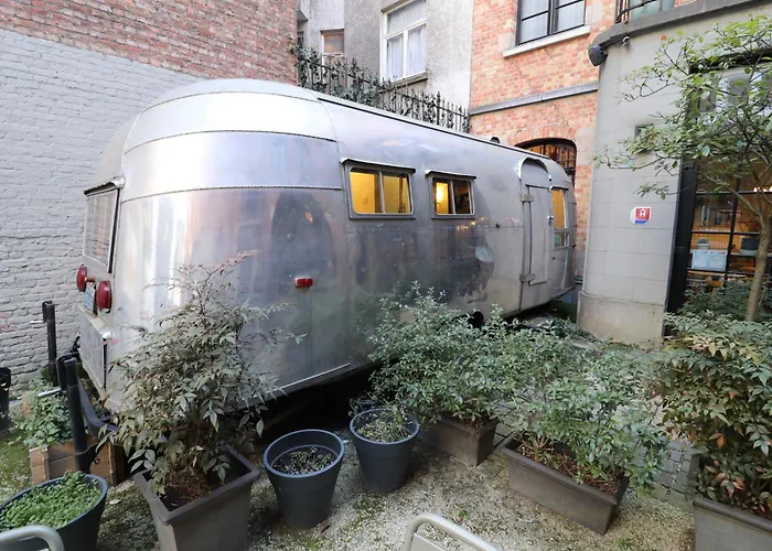 Animaux admis Vintage Brussels