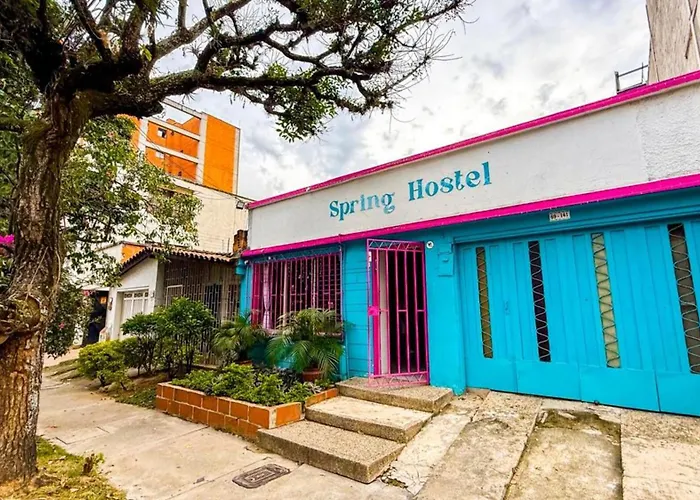 Perros hoteles Spring