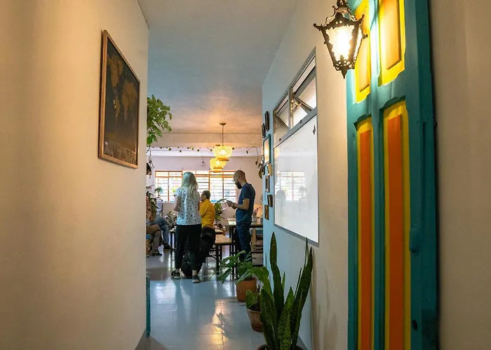 Laureles Garden
