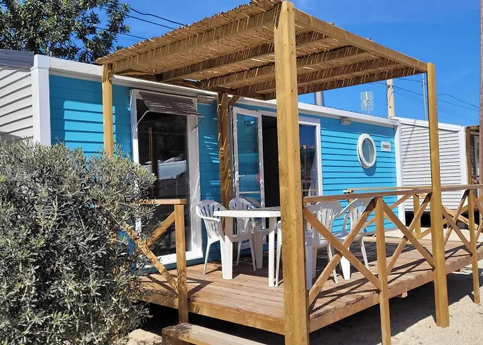 Hôtel accueillant les animaux: Camping Costa Blanca