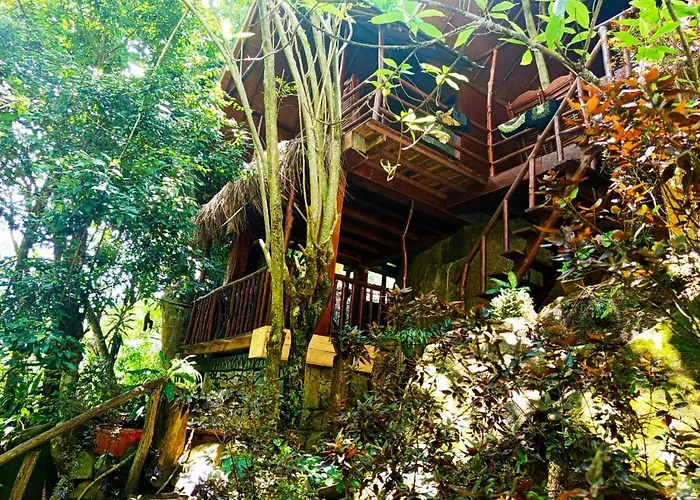 Jungle Face Inn