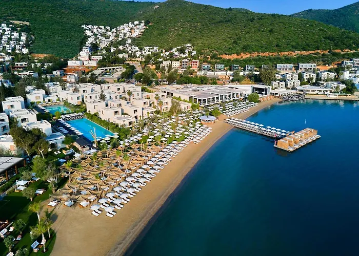 Voyage Torba