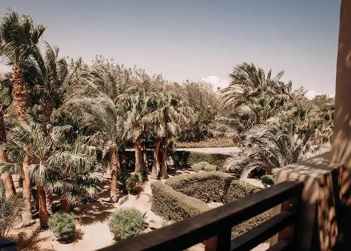 Hotels With Four Stars Cook'S Club El Gouna (Adults Only)