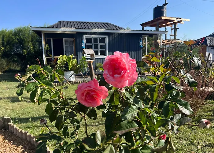 Rafiki House Nanyuki