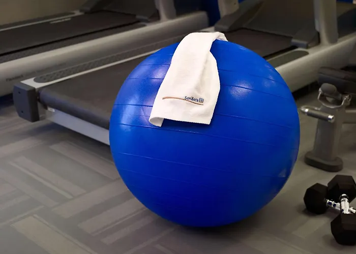 Pet Friendly hotel: Sonesta Es Suites St. Louis - Chesterfield