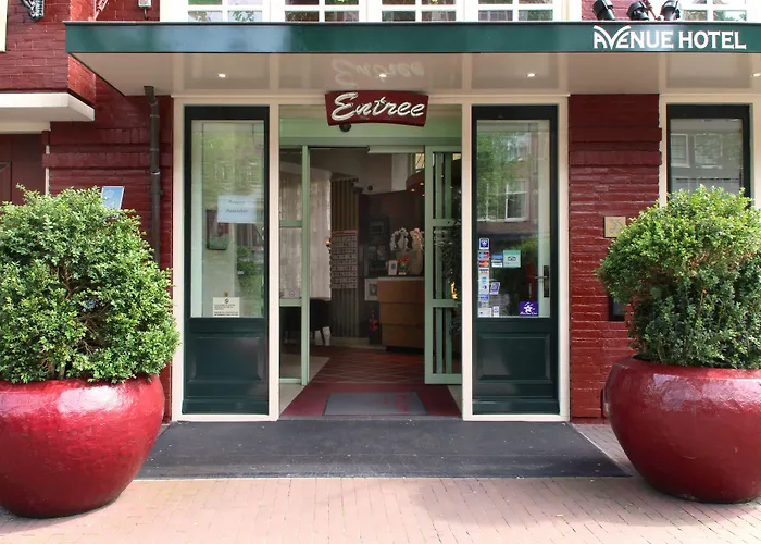 Beach hotel: Avenue Hotel