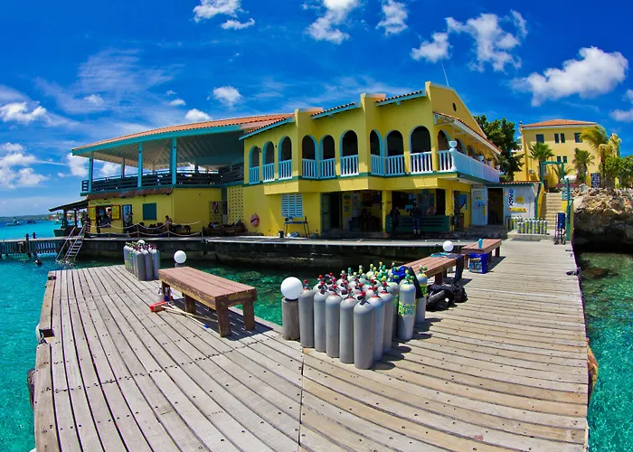 3 star hotel: Buddy Dive Resort