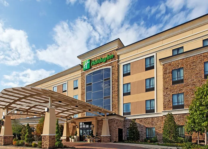 Jacuzzi hotel: Holiday Inn Arlington Northeast By Ihg