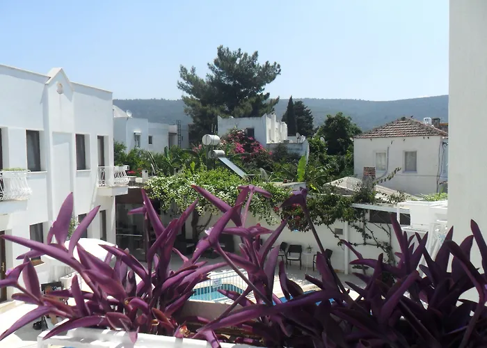 Asmin Bodrum