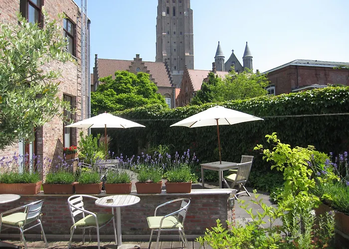 Vacation rental: Bonobo Apartments