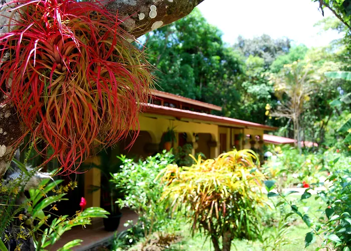 Hotels With Four Stars Jaco Docelunas