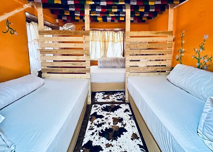 Hostel: Yog Hostel- Best Social Backpacker Hostel In Thamel -Rooftop-Capsule Bunks Ac