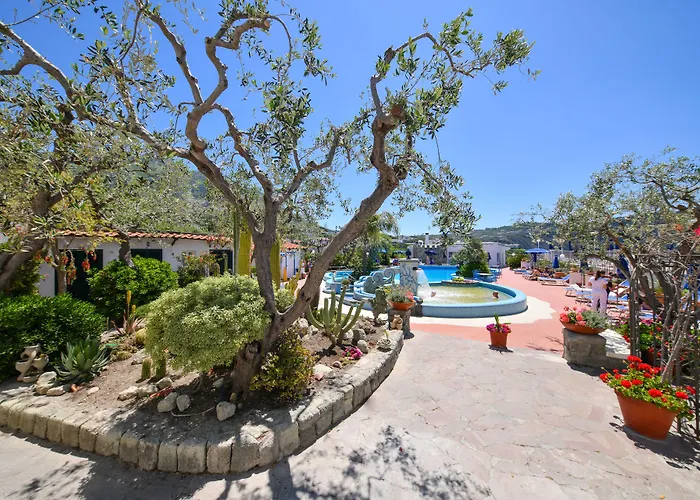 Luxury hotel only: Hotel Terme Providence