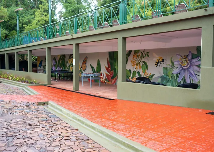Iguazu Jungle