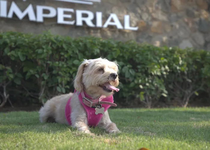 Hotel de golf: Pierre Mundo Imperial Riviera Diamante Acapulco