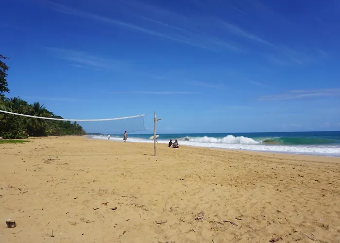 Oasis Bluff Beach