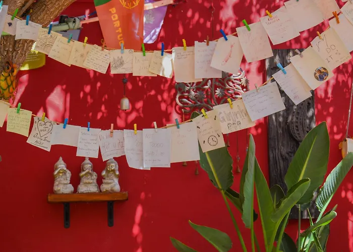 Hôtel de plage: Orange Terrace Hostel