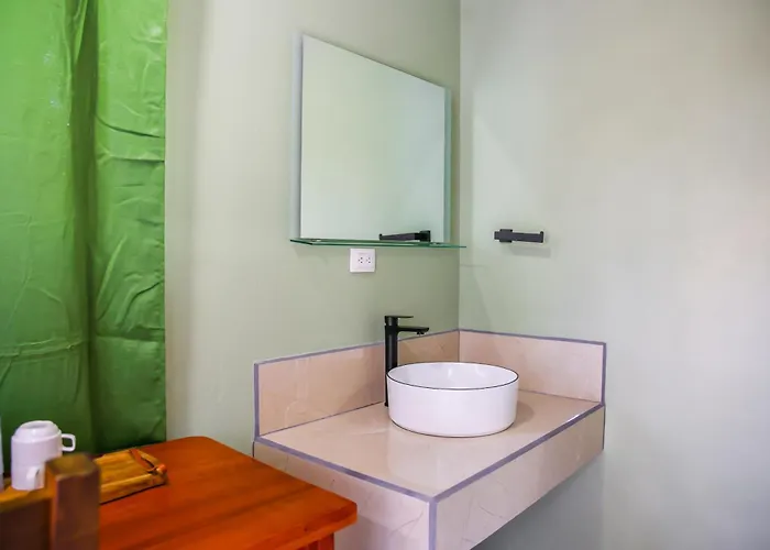 Dog friendly hotels Confort Arenal
