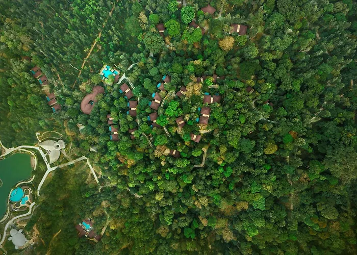 Timbertales Luxury Coorg