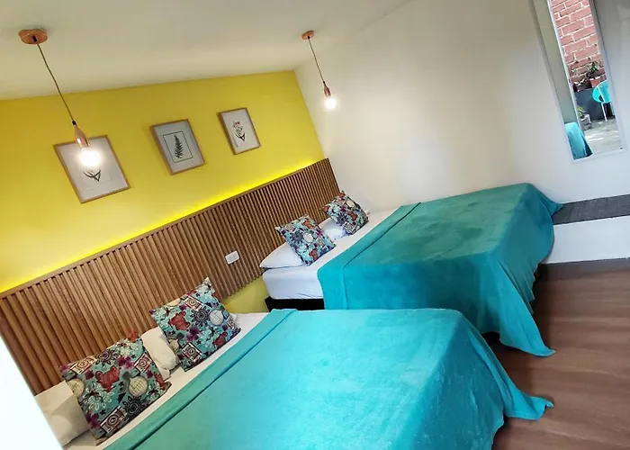Perros hoteles Spring