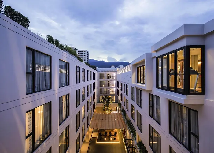Dog friendly hotels Novotel Chiangmai Nimman Journeyhub