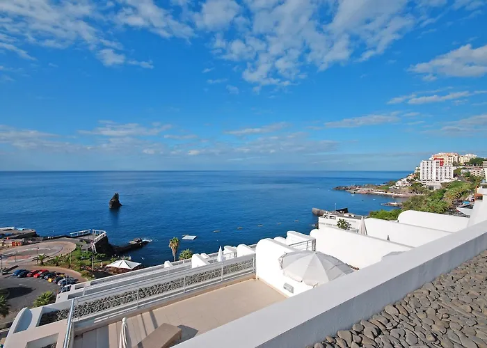 Pets Allowed Hotel Melia Madeira Mare