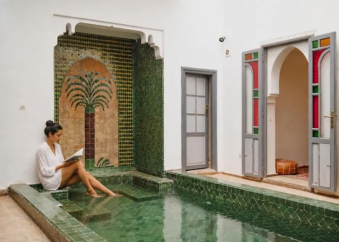 Animaux admis Outsite Marrakesh