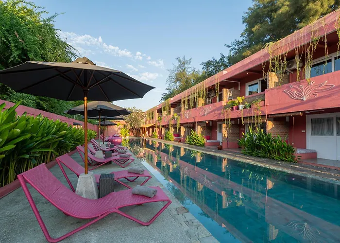 3 star hotels Pinkcoco Gili Trawangan - Constant Surprises - For Cool Adults Only
