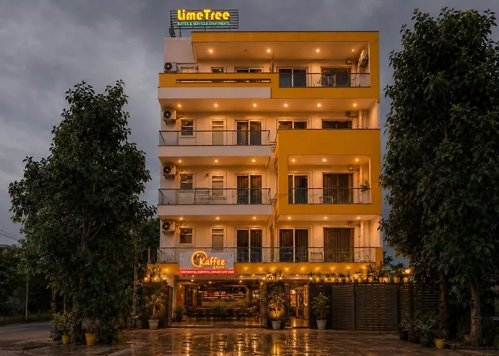 Lime Tree Luxury Studio - Service Apartment Near Artemis Hospital, Gurgaon