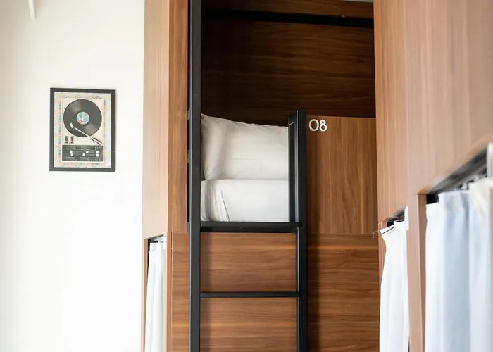 Pets Allowed Hotel Jost Auberge De Jeunesse Bordeaux Gare St Jean