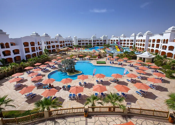 Naama Waves