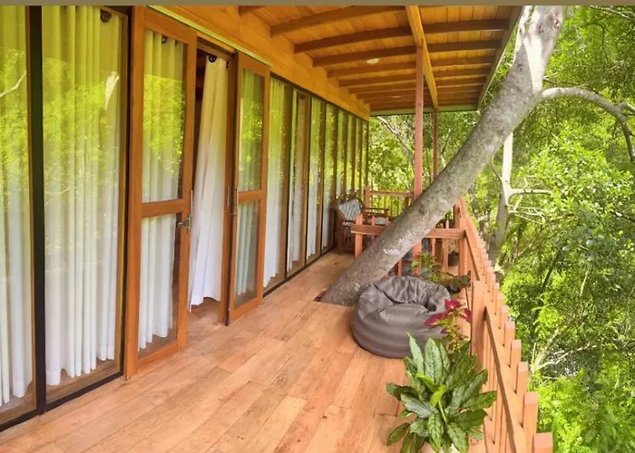 Jungle Face Inn