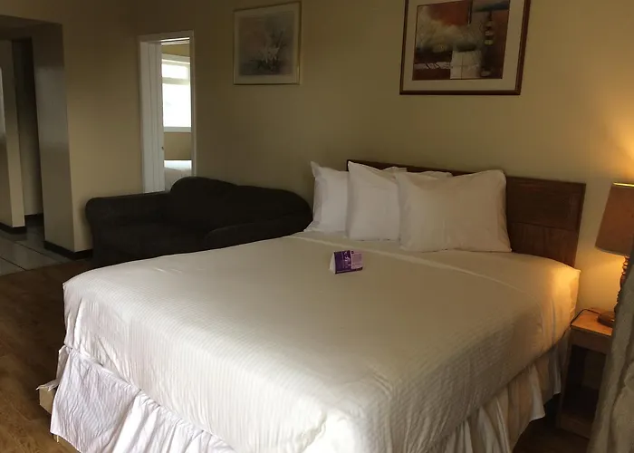 Pet Friendly hotel: Nice Inn Edmonton