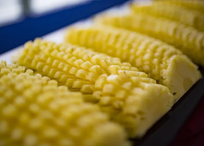 Hotel que admite mascotas: Alisa Hotel & Spa