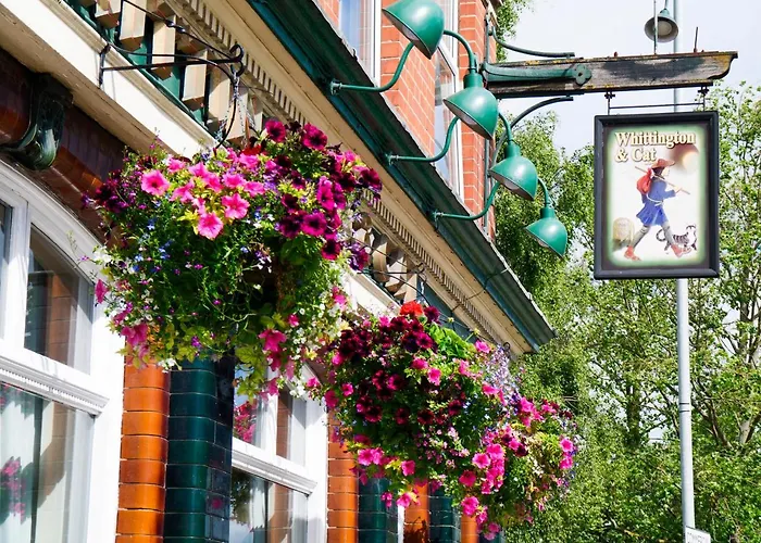 B&B only: The Whittington And Cat