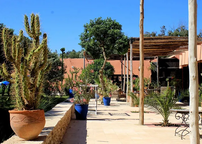 Perros hoteles Maison Marocaine Agadir
