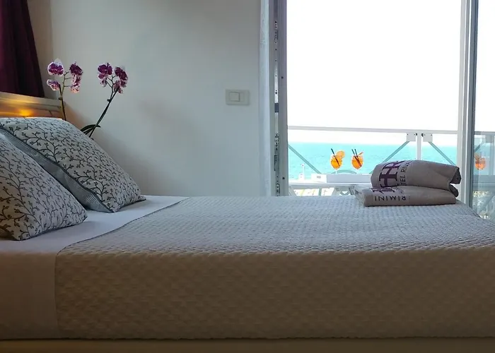 Hôtel accueillant les animaux: Hotel Rivazzurra